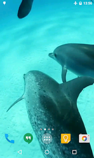 How to download Dolphins HD Live Wallpaper 2.0 unlimited apk for pc