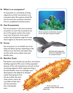 Sea world Screenshots 1