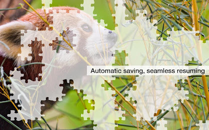 Red Panda Jigsaw Puzzles Demo poster 8