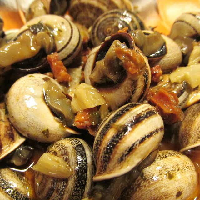 10 Best Snail No Shell Recipes