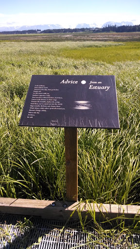 Advice from an Estuary