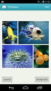 Muzy - Share photos & collages - screenshot thumbnail