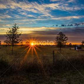 Waller Sunrise by Robert Marquis - Landscapes Sunsets & Sunrises