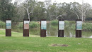 Australian Waterbirds Wetland