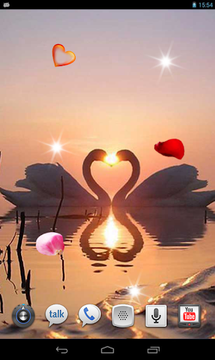Swans Love live wallpaper
