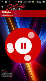 Scottsdale Nights poster 4