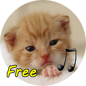 call Cat logo