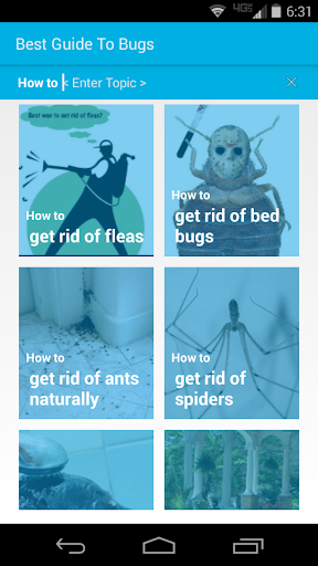 Eliminate Bugs Insects Pests