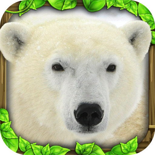Polar Bear Simulator Apk Free Download