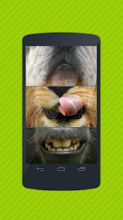 Free Swap Selfie APK