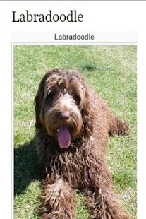How to mod My Labradoodle 1.3 apk for pc