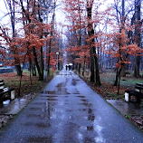 Walk in the rain .. by Dubravka Bednaršek -  