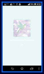 Humming Bird Live Wallpaper poster 2