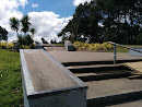 Forest Hill Skate Park