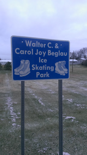 Ice Skating Park