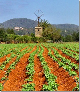 agricultura-2[1]
