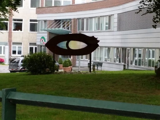 The Eye of Pinneberg