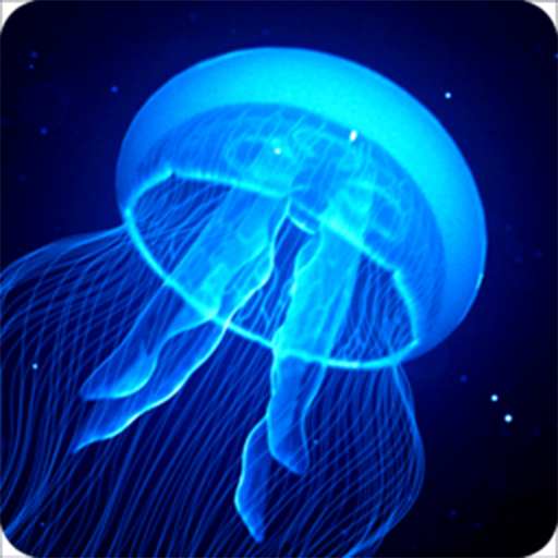 Night Light Jelly Fish LWP LOGO-APP點子