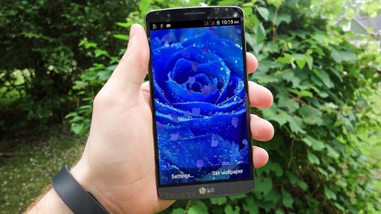 Download Blue Rose HD LiveWallpaper APK for PC