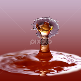 Crowning Glory by Nirmal Kumar - Abstract Water Drops & Splashes