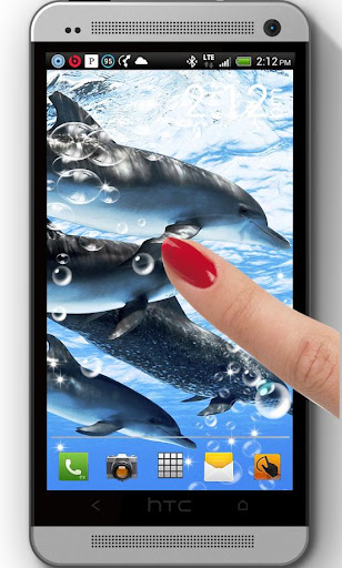 Dolphin Screens live wallpaper