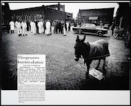Bezetting van het Gemeentelijk abattoir