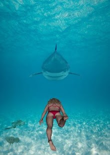 SHARK ADVENTURE Screen 3