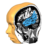 Brain Tutor 3D Apk
