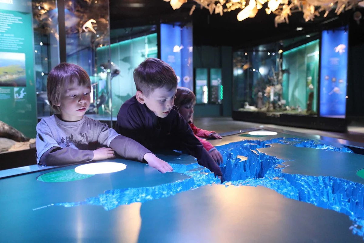 Germany-Stralsund-ozeaneum - Ocean exhibits at Meeres Museum in Straslund, Germany. 