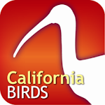 Audubon Bird Guide: California Apk
