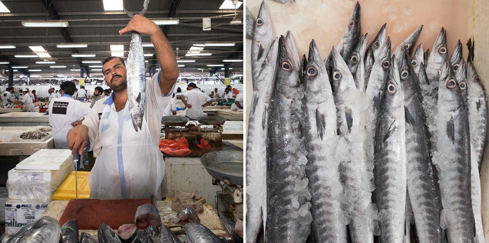Fish Market, Dubai
