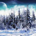 Nature Winter