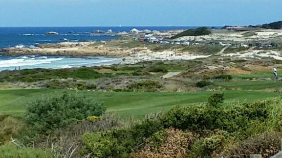 Free Scientific Camera Pro APK for Android