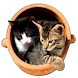 Pet Cat Pick