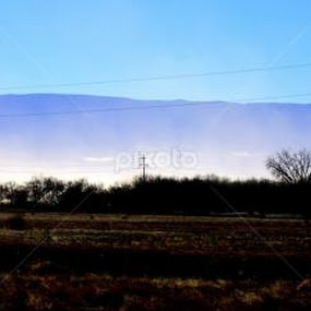WIND BLOWN by Candy (Ellison) Downs - Landscapes Prairies, Meadows & Fields