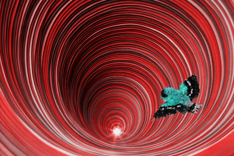 How to install Square Bird lastet apk for android