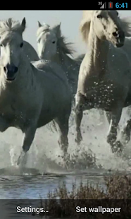 How to mod Horses video live wallpaper HD 3.0 apk for pc