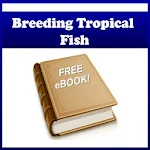 Cover Image of Télécharger Breeding Tropical Fish 1.1 APK