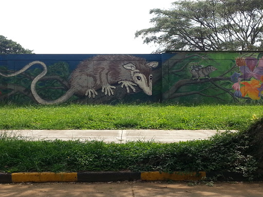 Mural zarigüeya, Univalle