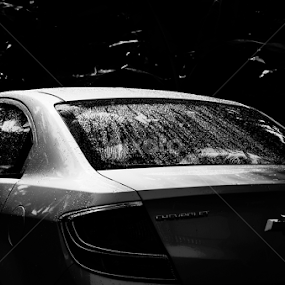 Perls on car by Aditya Bugadi - Artistic Objects Still Life