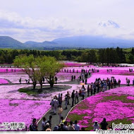 【南投】富士日本料理