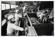 Ouwehand Rederij en Visverwerking B.V.