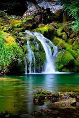 ������� 3D ����