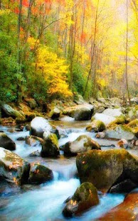 How to download Forest Live Wallpaper patch 1.0 apk for laptop