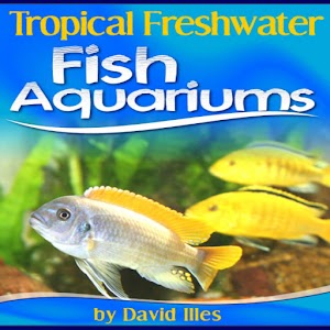 Tropical Fish Aquariums 1.0