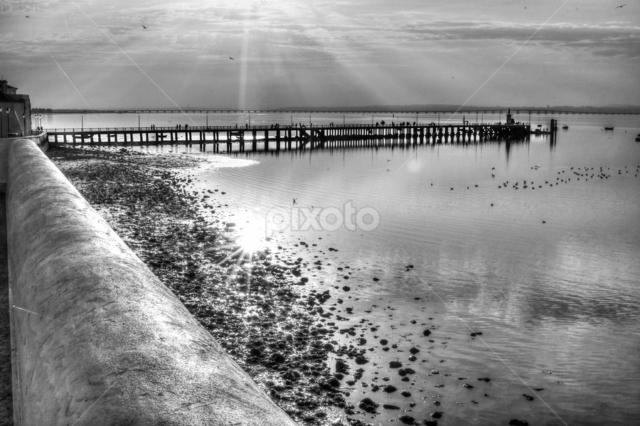 by Rui Silva - Landscapes Waterscapes