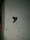 Kolibri Grafitti