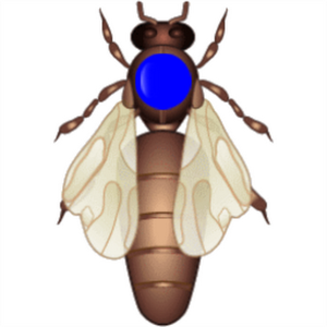 Download Imker-App-Pro 1.90 APK for Android