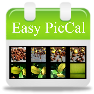 Easy PicCal.apk 1.3.2