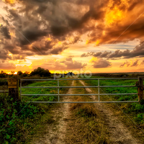 by Nancie Rowan - Landscapes Prairies, Meadows & Fields